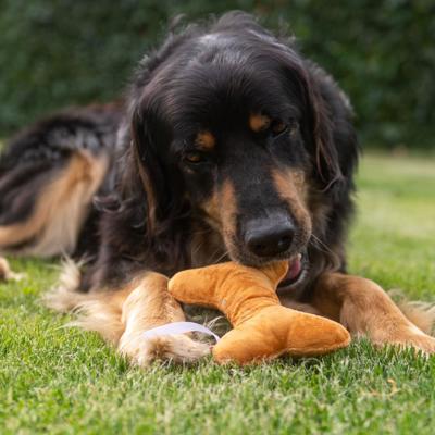 Hundespielzeug Knochen Braun M170009 Artfarbe 6576 Detail 2724 XL